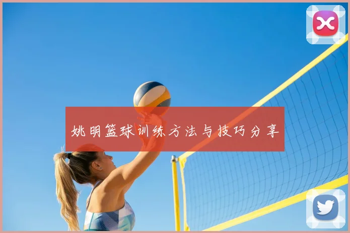 姚明篮球训练方法与技巧分享