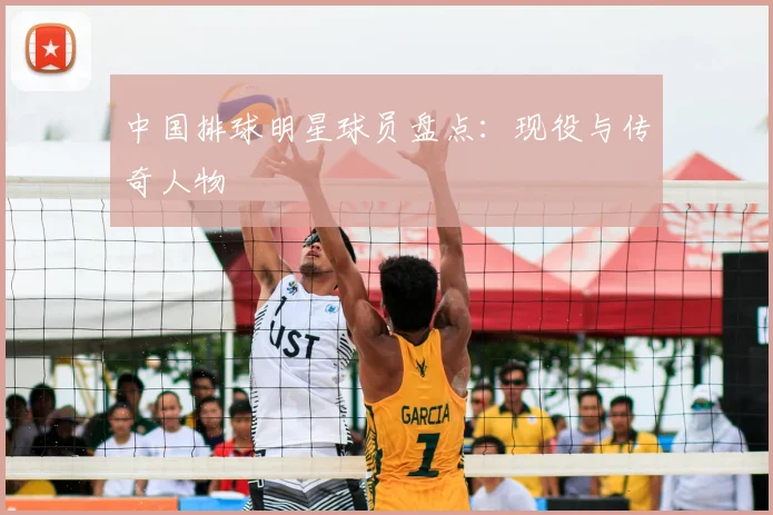中国排球明星球员盘点：现役与传奇人物