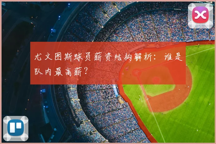尤文图斯球员薪资结构解析：谁是队内最高薪？